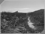 Nature04 - 191kb
