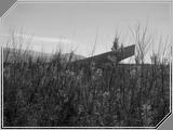 Nature05 - 203kb