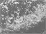 Nature12 - 114kb