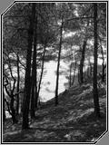 Nature14 - 142kb