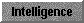  Intelligence 