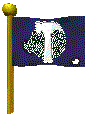 CTF Flag